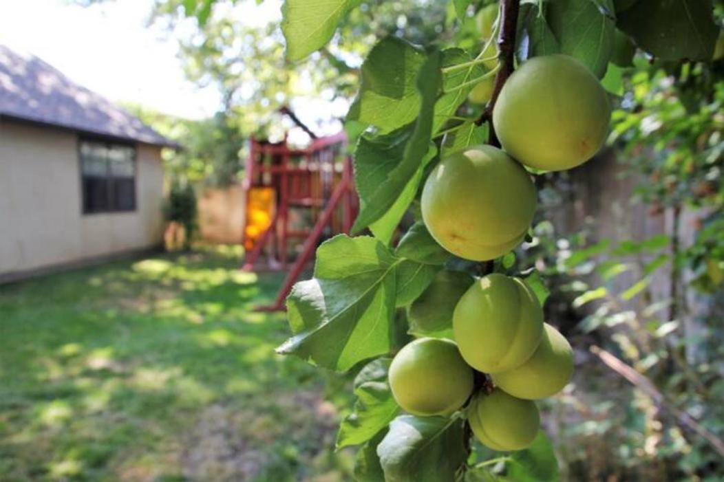 Experience Nirvana With Artwork Collections From Around The Globe Located In Lakewood Neighborhood In Se Boise Next To A Park, Minutes From Bown Crossing And The Boise River, 10 Minutes To Downtown, 4 Beds, Sleeps 8, Pets Welcome In Large Fenced In Y Kültér fotó